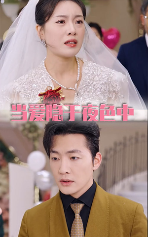 当爱隐于夜色中（37集）短剧介绍