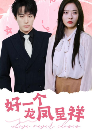 好一个龙凤呈祥（98集）高清无码免费看