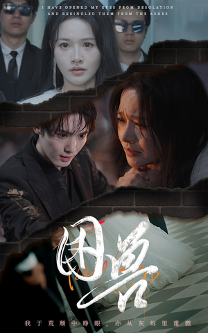 困兽（31集）每日短剧推荐