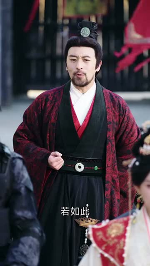 我回三国当贤臣（30集）短剧排行榜