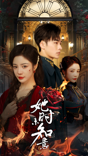 她时未知意（70集）短剧也太好看了