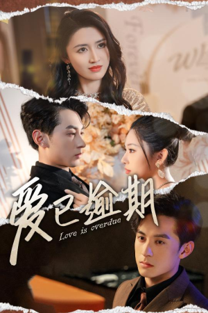 从此山海不相逢（50集）热门短剧推广