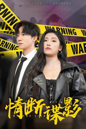 情断谍影（30集） 爱上了这部剧了
