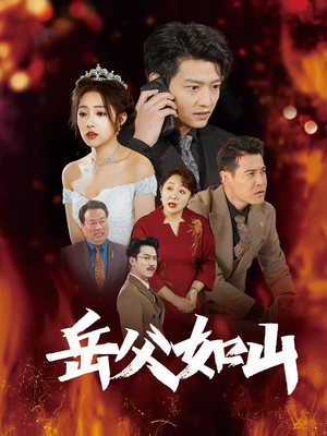 岳父的礼物（30集）爆火短剧追不停