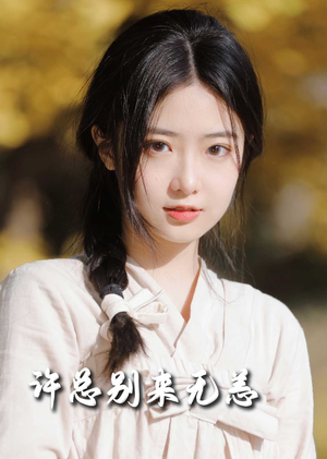 许总别来无恙（50集） 经典老剧免费看