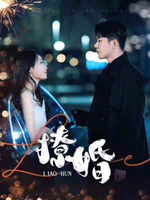 撩婚（90集） 短剧全集免费