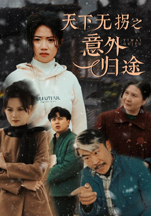 天下无拐之意外归途（61集） 免费短剧资源