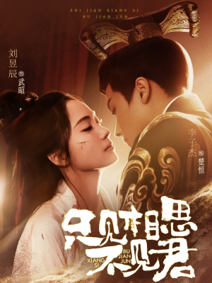 只见相思不见君（82集） 全集完整版