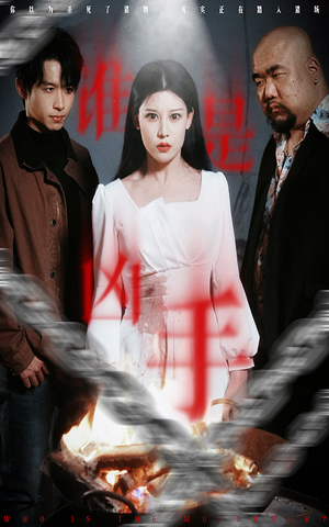 谁是凶手（31集） 好看短剧分享