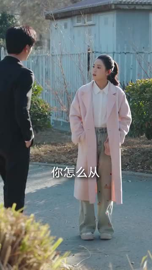 厉先生有人冒充你太太（73集） 免费观看完整版