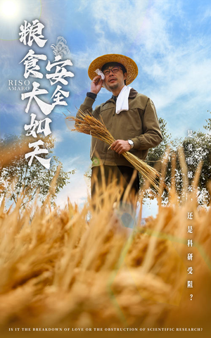 粮食安全大如天（43集） 精彩短剧上线