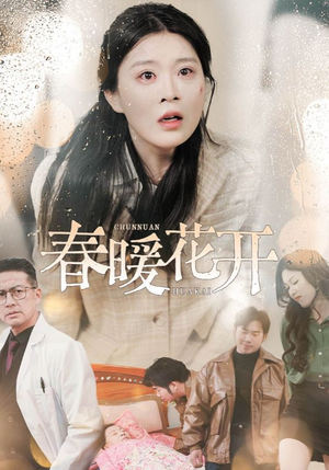 春暖花开（30集） 百度网盘资源