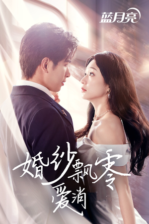 婚纱飘零爱消弭（38集） 全剧免费观看