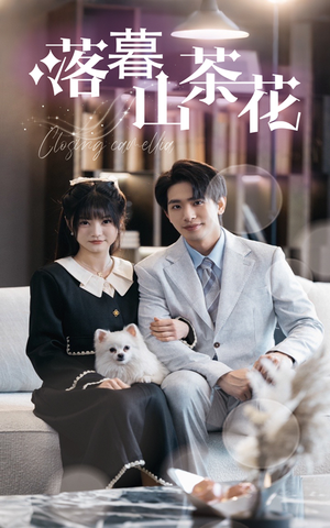 落幕山茶花（50集） 热播短剧排行榜