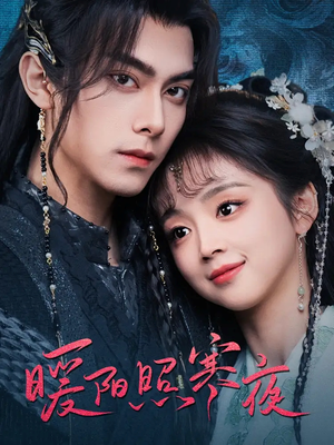 暖阳照寒夜（68集） 更新时间