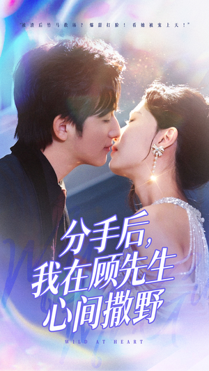 分手后我在顾先生心间撒野（35集） 第一季
