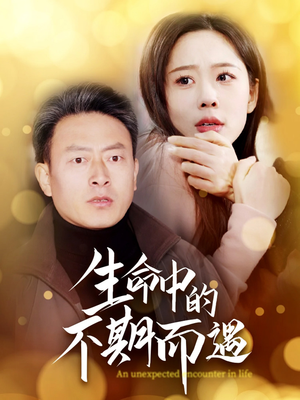 生命中的不期而遇（35集） 在线看完整版