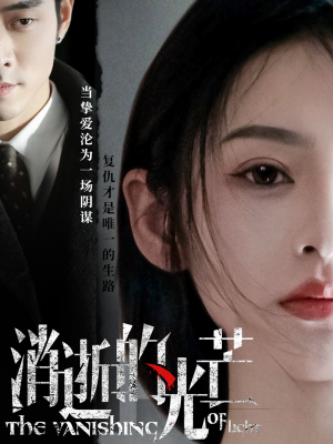 消逝的光芒（55集） 全集免费观看