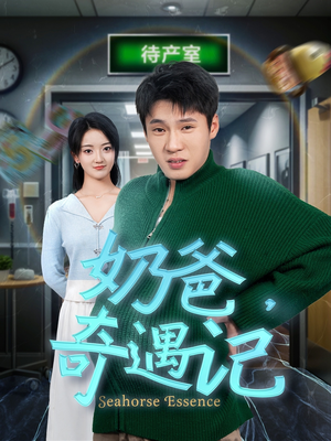 奶爸奇遇记(60集) 奶爸奇遇记(60集) 一共多少集