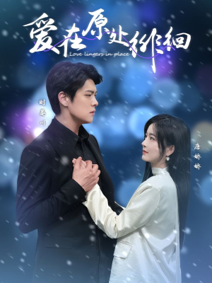 爱在原处徘徊（30集） 精彩短剧随心推