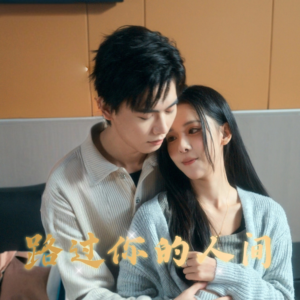 路过你的人间（31集）80到100集