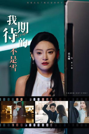 我期待的不是雪（30集）分享好看的短剧