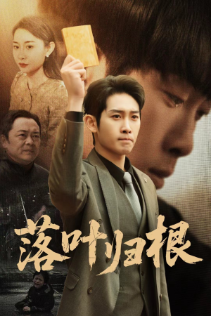 落叶归根（35集） 无需会员免费看