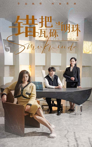 错把瓦砾当明珠（55集） 精彩好看的短剧