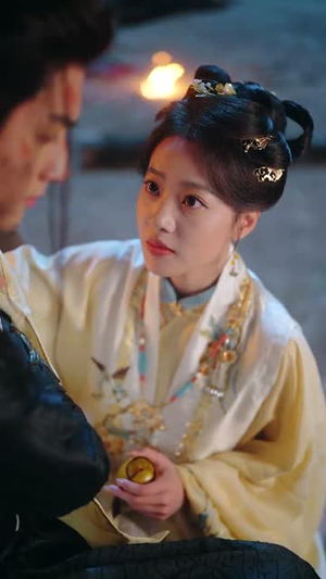 明月入卿怀（65集） 一口气看完