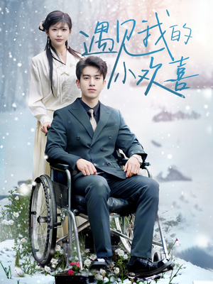 遇见我的小欢喜(70集) 遇见我的小欢喜(70集) 好短剧分享