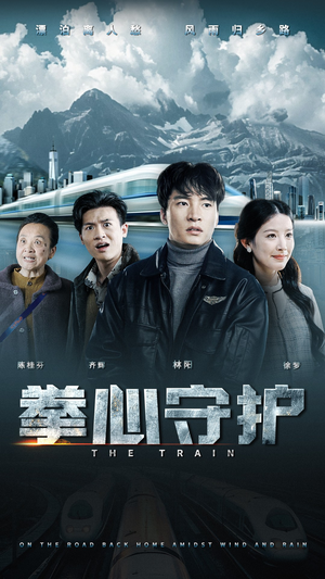 拳心守护（28集） 红果免费看短剧