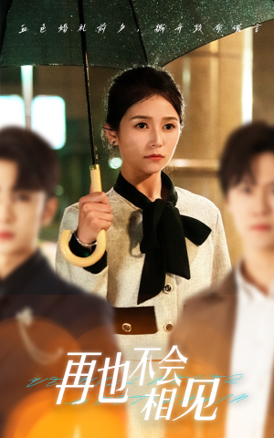 再也不会相见（33集）免费观看就是爽