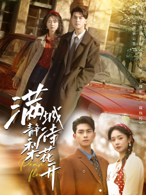 满城静待梨花开（100集）古装短剧推荐