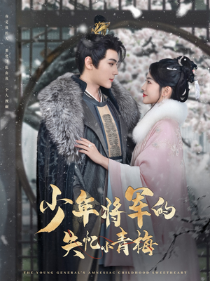 少年将军的失忆小青梅（100集）超好看古装短剧