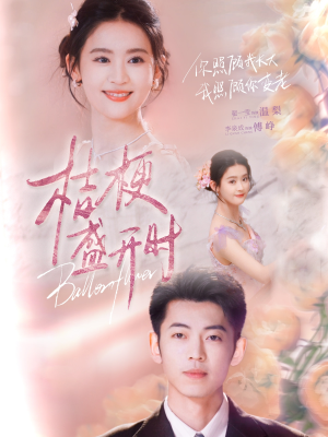 她的小桔梗（92集）夸克在线观看