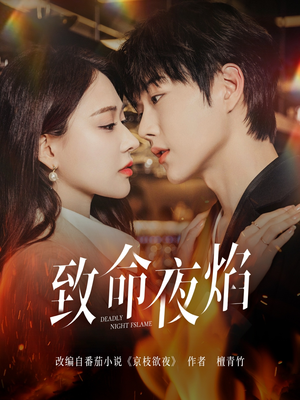 致命夜焰（80集） 免费短剧看全集