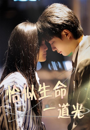 恰似生命一道光（60集） 海量短剧免费看