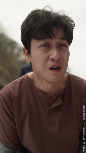 细雨春晖报母恩（30集） 短剧全集大结局