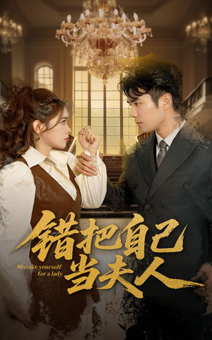 错把自己当夫人（60集） 百度网盘资源