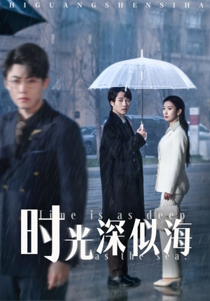 时光深似海（35集） 口碑之选免费看