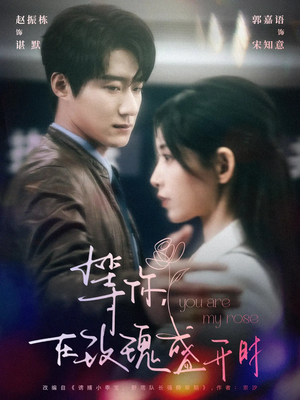等你在玫瑰盛开时（80集） 热门短剧榜单
