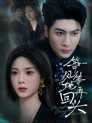 等风等她再回头（80集）高质量短剧推荐