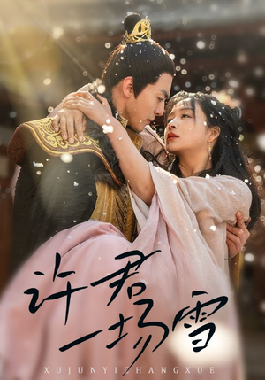 许君一场雪（43集）视频在线看