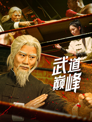 武道巅峰（59集） 第一季