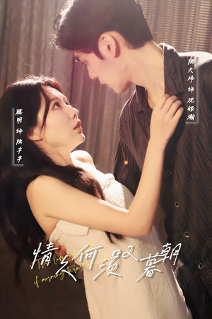 情久何须叹暮朝（61集） 高分推荐免费看