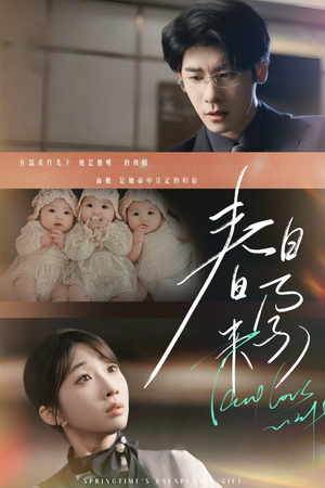 春日来孕（60集） 最火的短剧