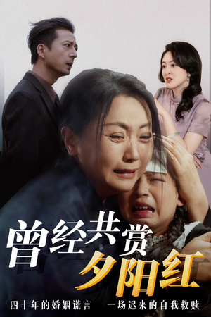 曾经共赏夕阳红 这部短剧太好看