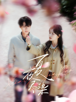 夏夜尽染（80集） 爆款短剧一起追