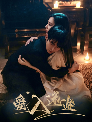 爱入迷途（67集）360网盘观看