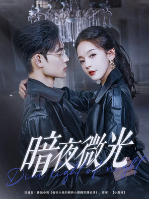暗夜微光（86集）精彩片段